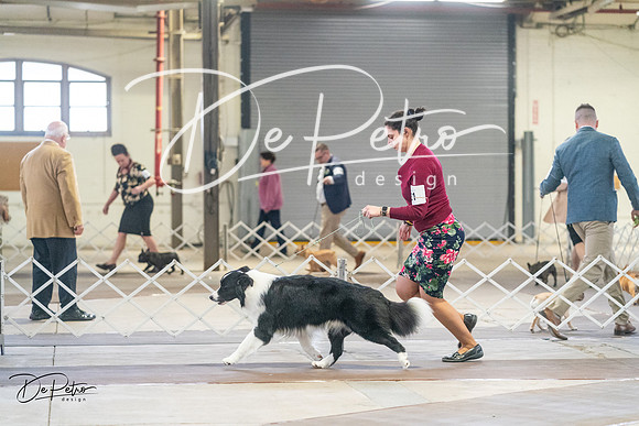 20240328-DSC01244