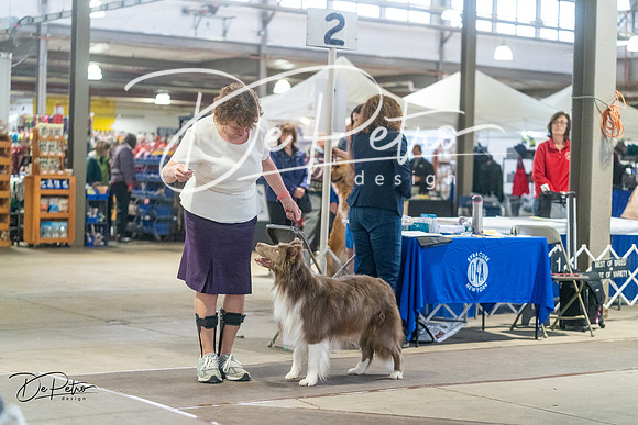 20240328-DSC01309