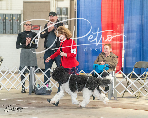 20240328-DSC01529