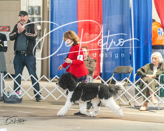 20240328-DSC01525