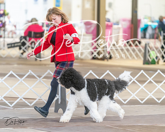 20240328-DSC01543