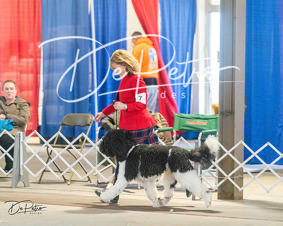 20240328-DSC01516