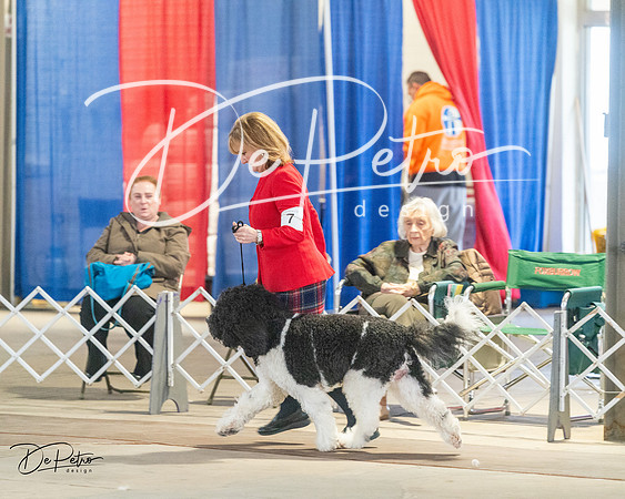 20240328-DSC01520