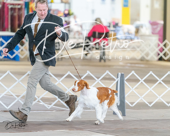 20240328-DSC01585
