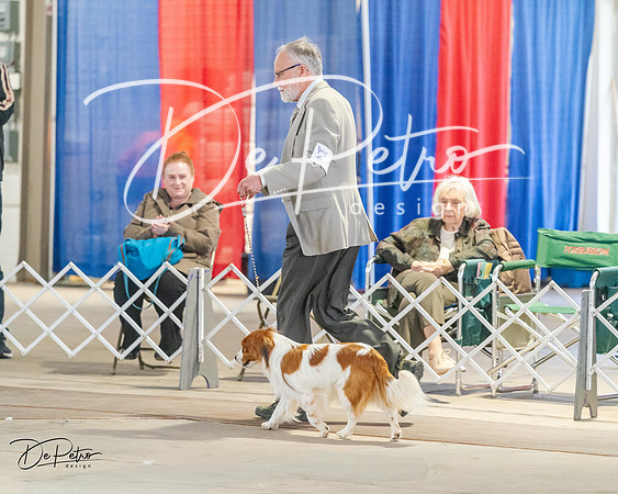 20240328-DSC01608