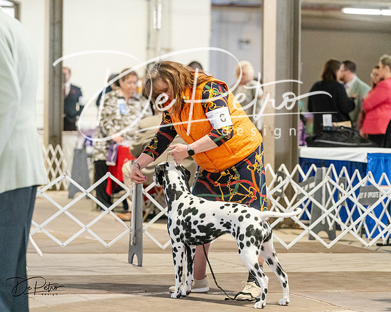 20240329-DSC04248