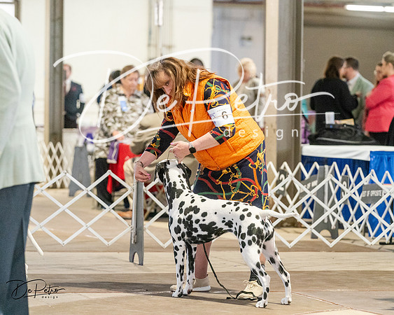 20240329-DSC04250