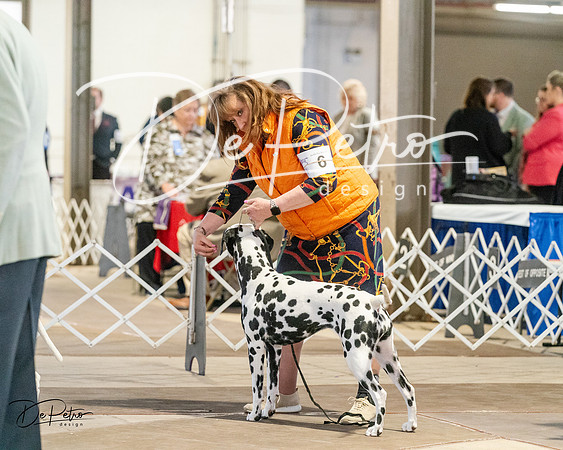 20240329-DSC04251
