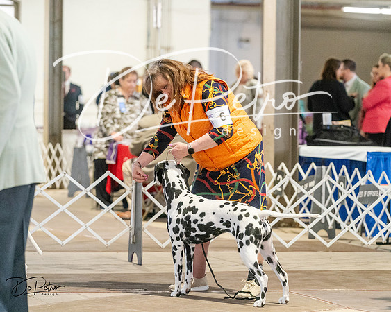 20240329-DSC04249