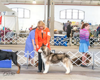 20240328-DSC02152