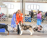 20240328-DSC02149