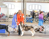 20240328-DSC02150