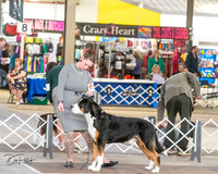 20240328-DSC02157