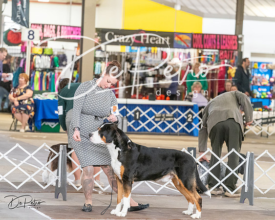 20240328-DSC02157