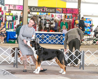 20240328-DSC02158