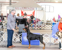 20240328-DSC02162