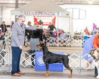 20240328-DSC02163