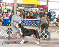 20240328-DSC02159