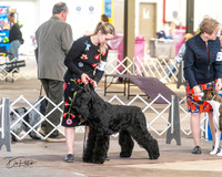 20240328-DSC02168