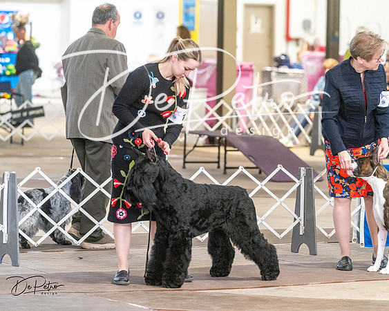 20240328-DSC02168
