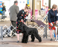 20240328-DSC02169