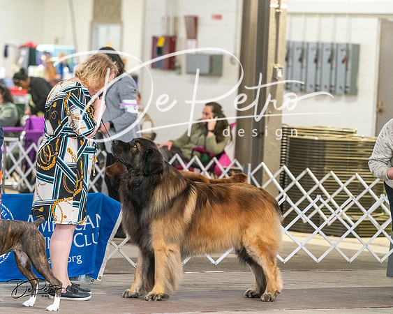 20240328-DSC02181