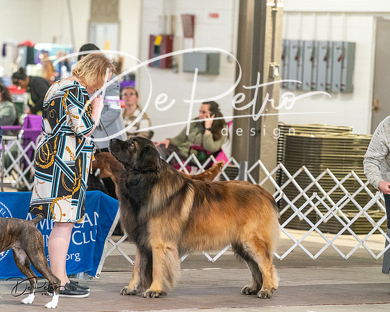 20240328-DSC02183