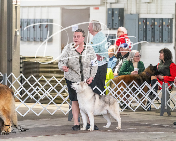 20240328-DSC02185