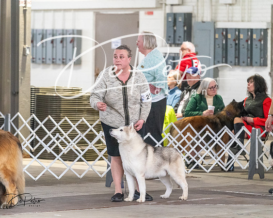 20240328-DSC02186