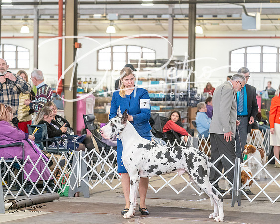 20240328-DSC02147