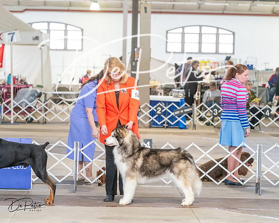 20240328-DSC02151
