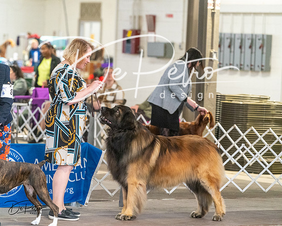20240328-DSC02175