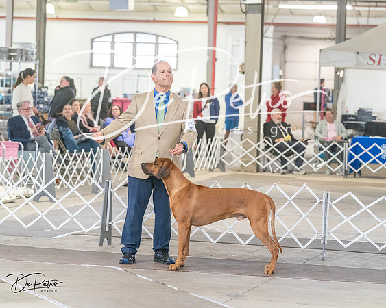 20240328-DSC02216