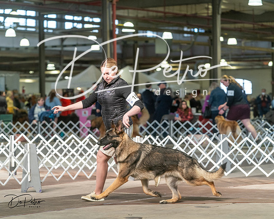 20240329-DSC04657