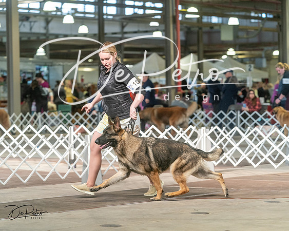 20240329-DSC04661