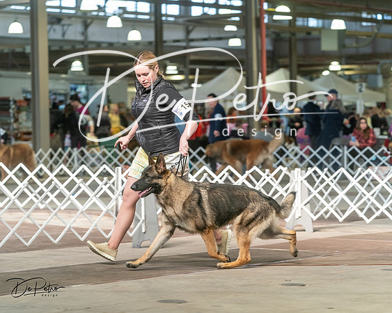 20240329-DSC04662