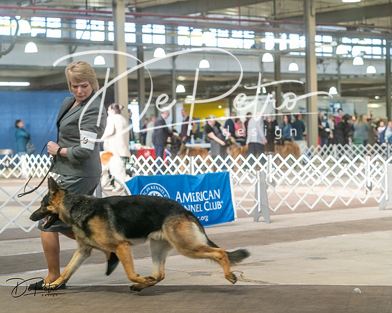 20240329-DSC04688