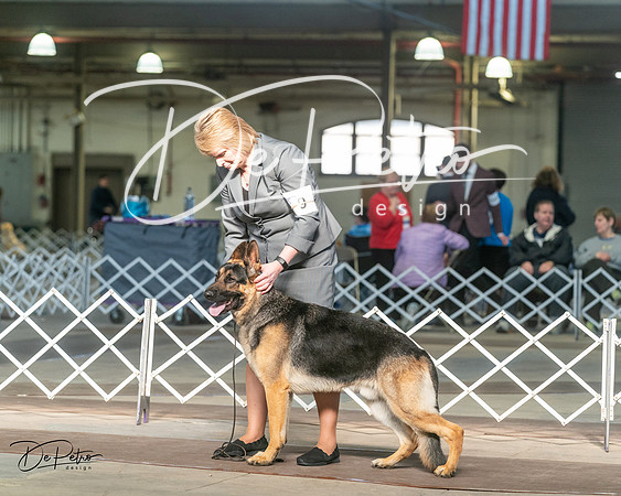 20240329-DSC04690