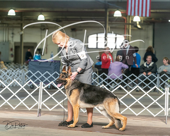 20240329-DSC04691