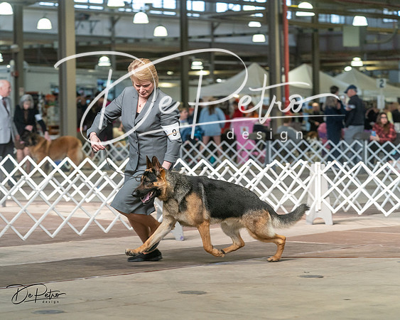 20240329-DSC04639