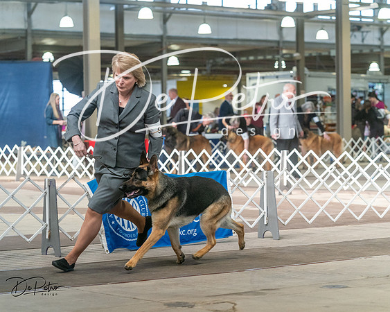 20240329-DSC04653