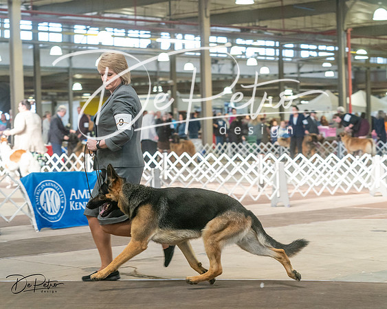 20240329-DSC04683