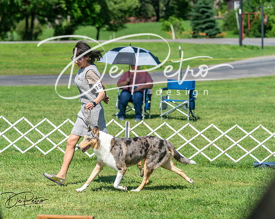20250629-DSC01004