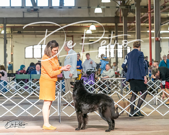 20240329-DSC05177