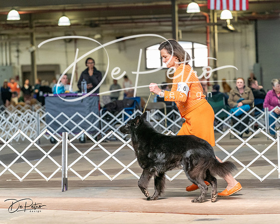 20240329-DSC05185