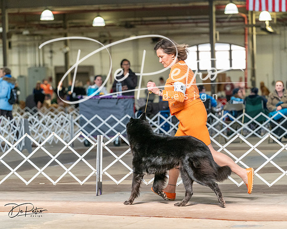 20240329-DSC05188
