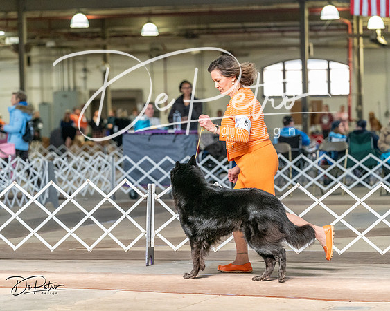 20240329-DSC05189