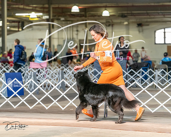 20240329-DSC05194