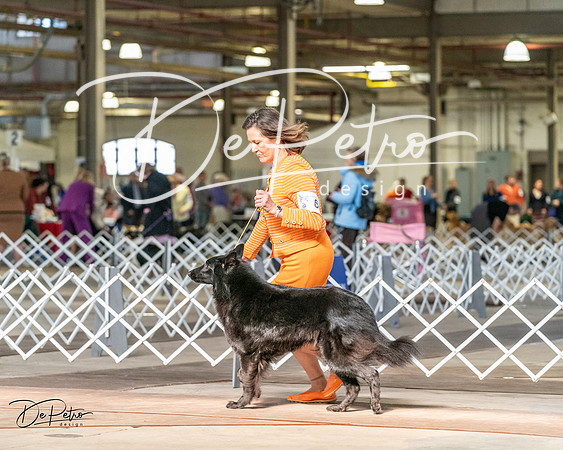 20240329-DSC05195