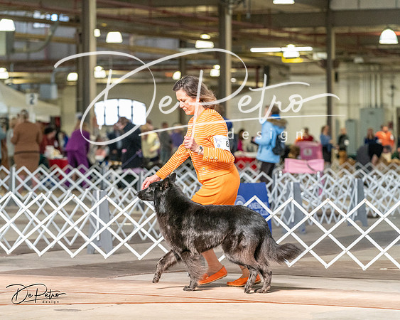 20240329-DSC05196